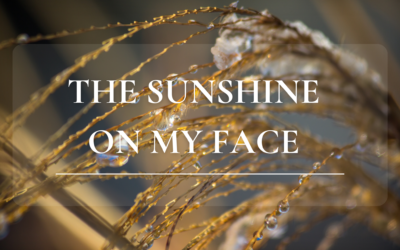 The sunshine on my face